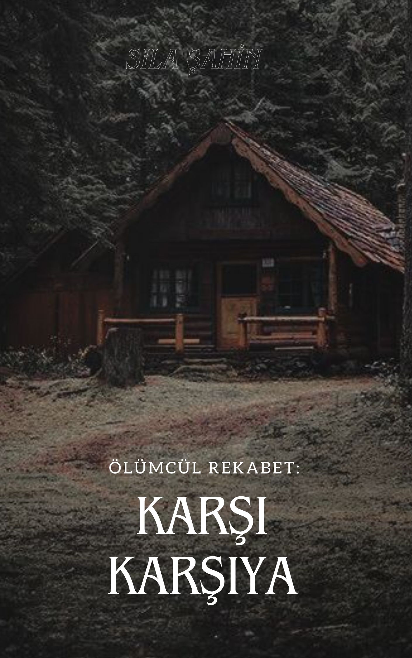 Gönderi görseli